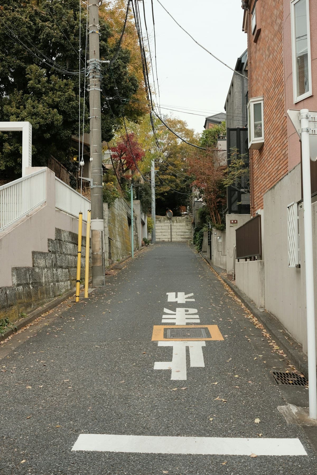文京区绿荫街道